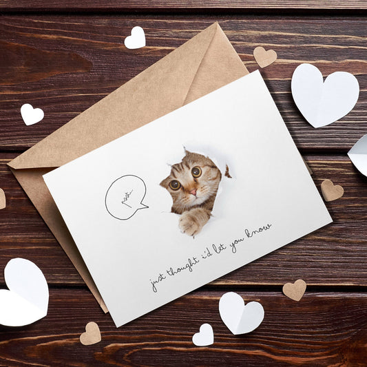 Adorable Cat Greeting Card, Cute Kitten Friendship Card, Teacher Appreciation Card, Cat Pun Anniversary Card, Pet Lover Encouragement Card - JuzBecuzStationery