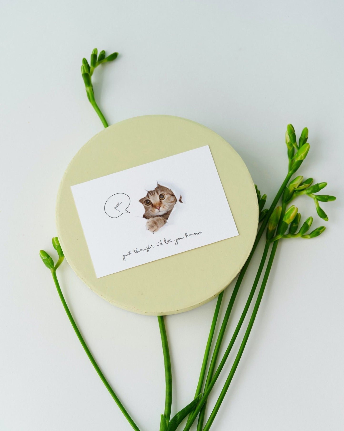 Catastic Cat Pun Greeting Card: Pet Lover Gift - JuzBecuzStationery
