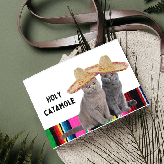 Funny Cat Pun Greeting Card - "Holy Catamole Long Time No Taco", I Miss You Card, Let's Catch Up Card, Friendship Card, Any Occasion Card - JuzBecuzStationery