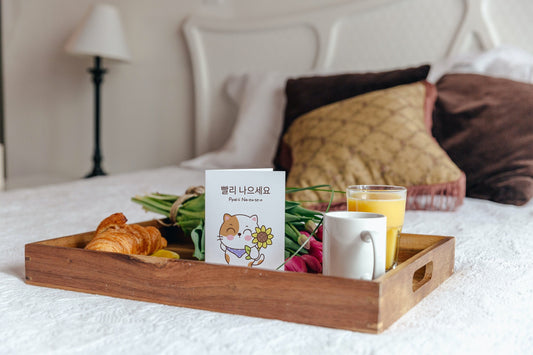 Korean Cat Get Well Card: "Ppalli Naeuseo" Greeting