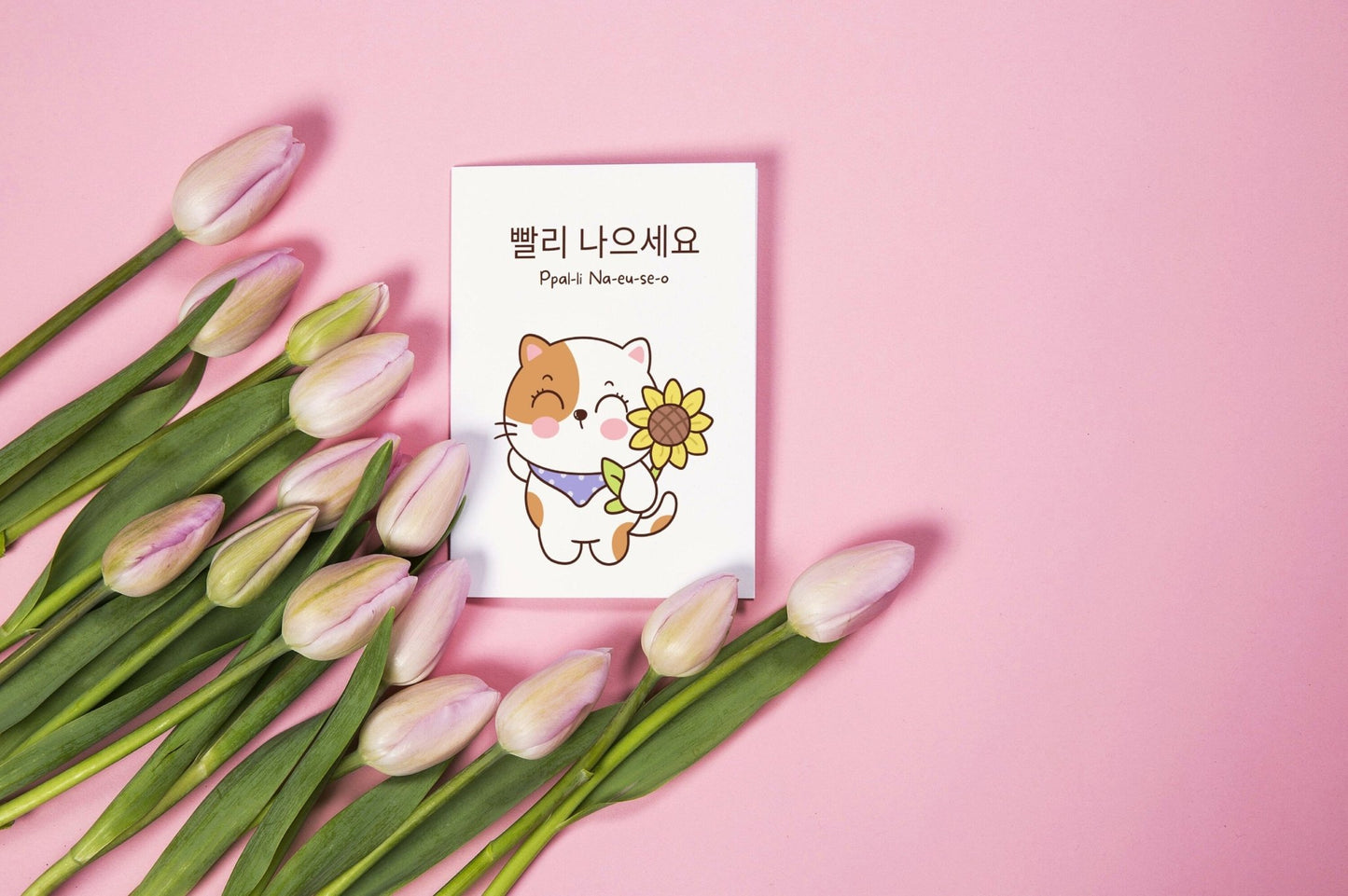 Korean Cat Get Well Card: "Ppalli Naeuseo" Greeting - JuzBecuzStationery