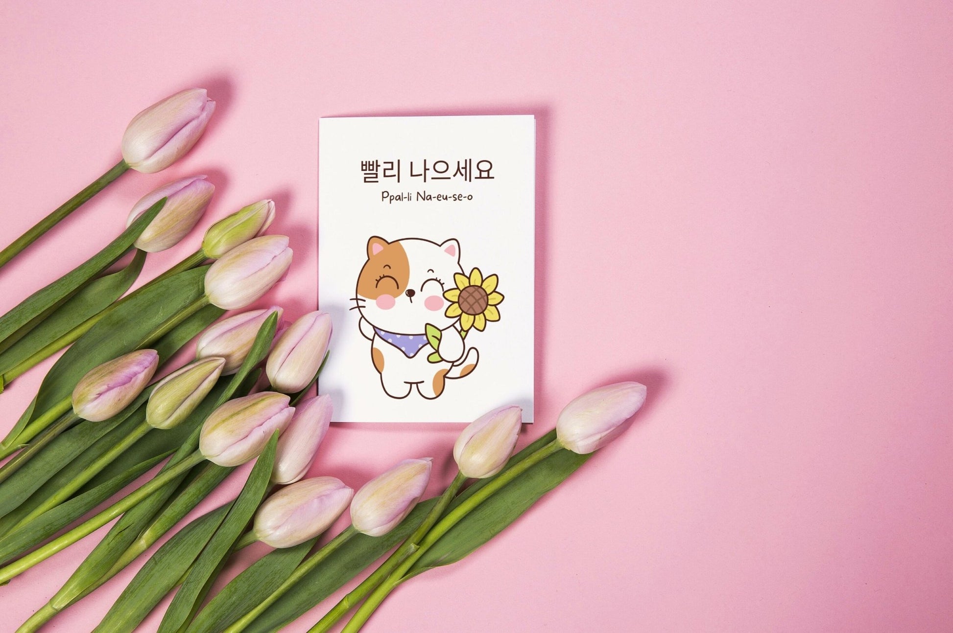 Korean Cat Get Well Card: "Ppalli Naeuseo" Greeting - JuzBecuzStationery