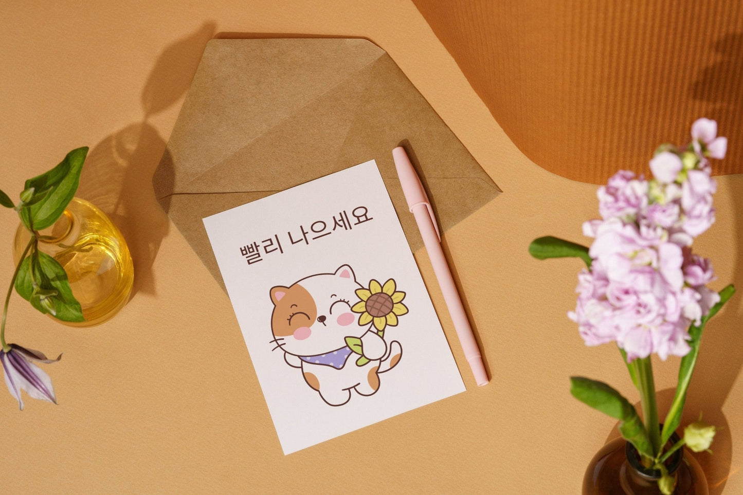 Korean Cat Get Well Card: "Ppalli Naeuseo" Greeting - JuzBecuzStationery