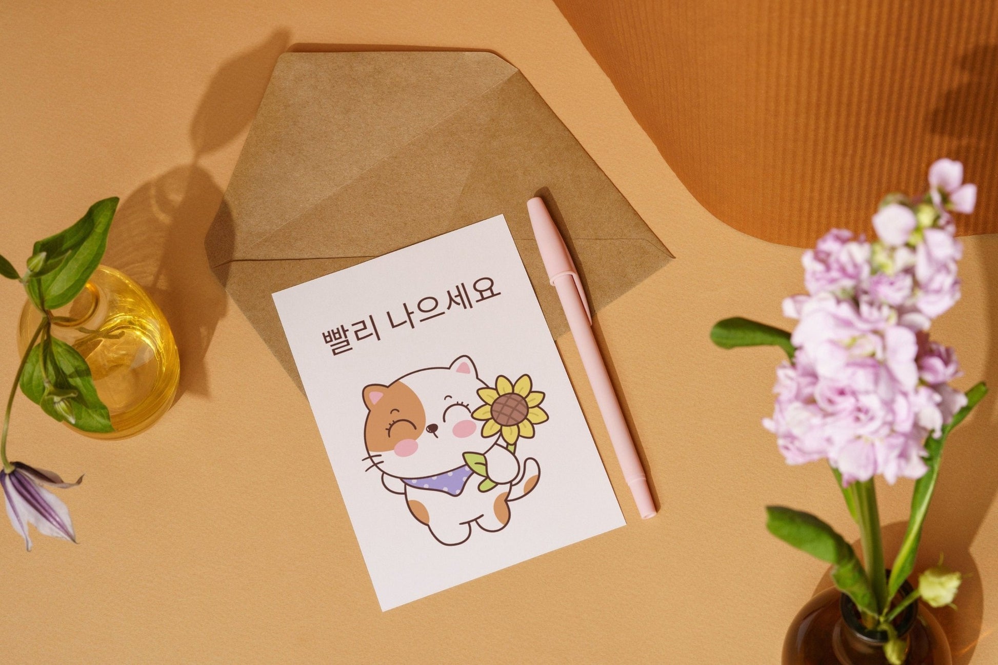 Korean Cat Get Well Card: "Ppalli Naeuseo" Greeting - JuzBecuzStationery